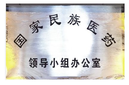 民族医药领导小组.png
