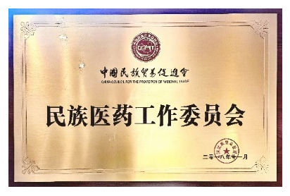 民族医药工作委员会.png