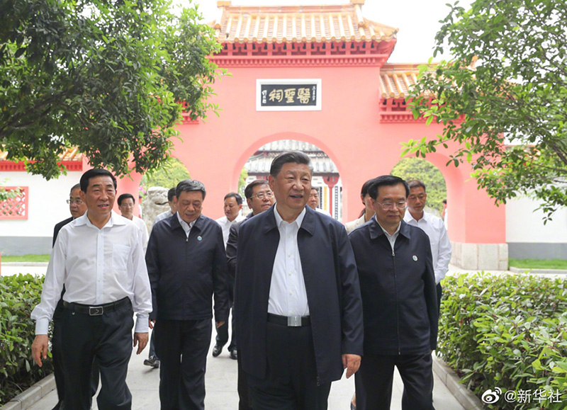 习近平:进一步发展中医药